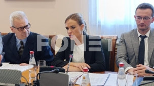 Nacrt zakona do juna